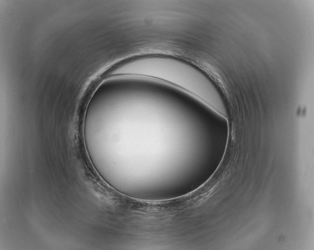 X0000091930388200709051245