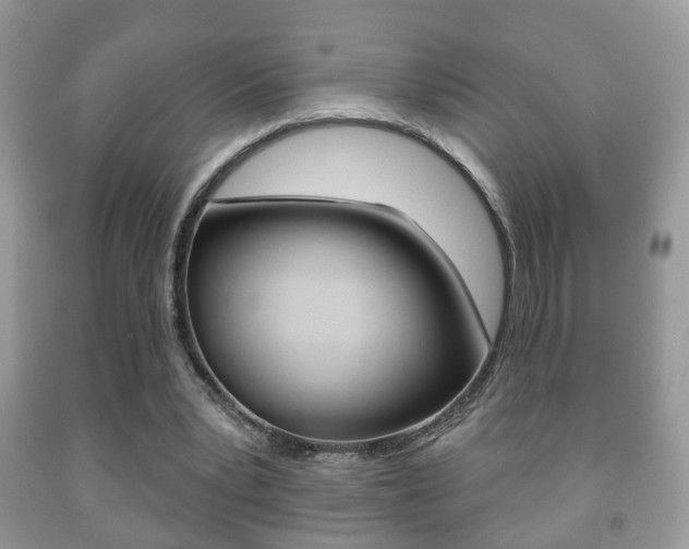 X0000091930391200709051245