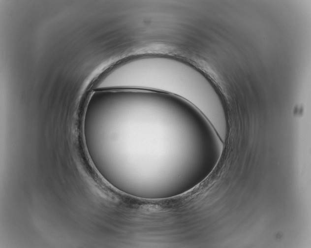 X0000091930392200709051245