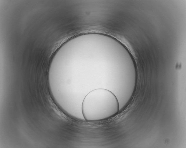 X0000091930393200709051245