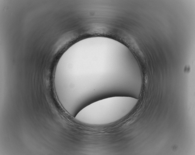 X0000091930396200709051245