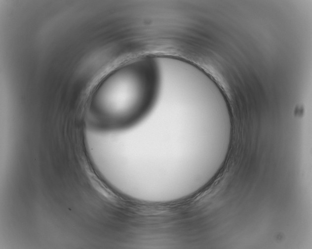 X0000091930397200709051245