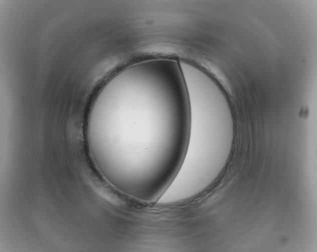 X0000091930399200709051245