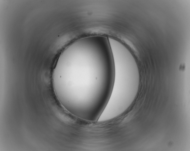 X0000091930403200709051245