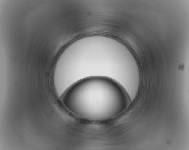 X0000091930404200709051245