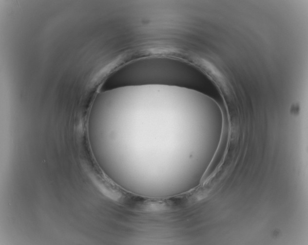 X0000091930405200709051245