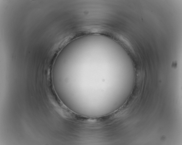 X0000091930406200709051245