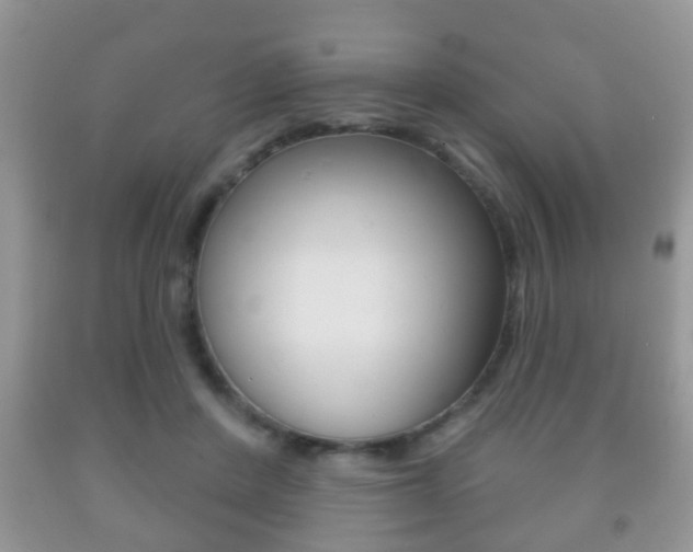 X0000091930408200709051245