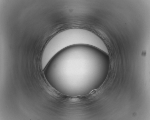X0000091930409200709051245
