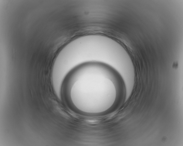X0000091930411200709051245