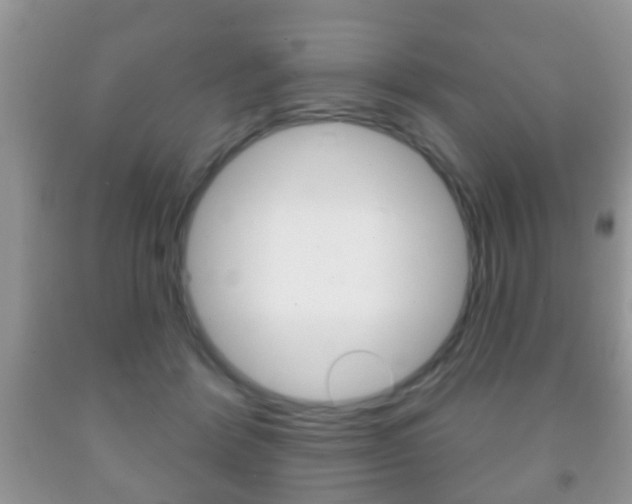 X0000091930412200709051245