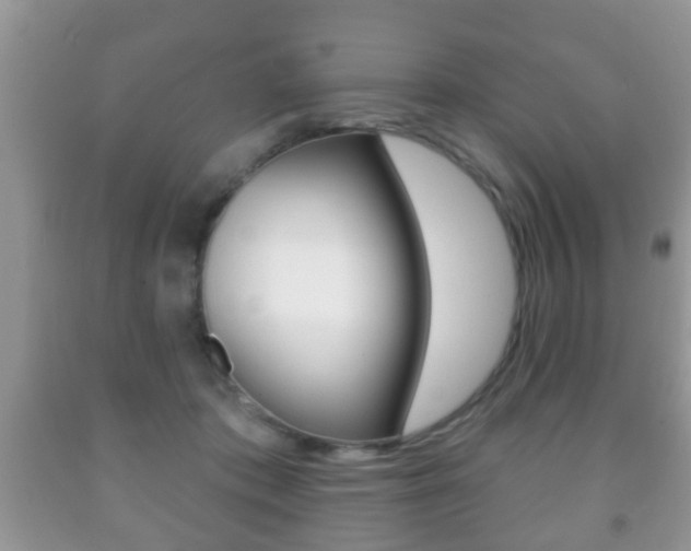 X0000091930413200709051245