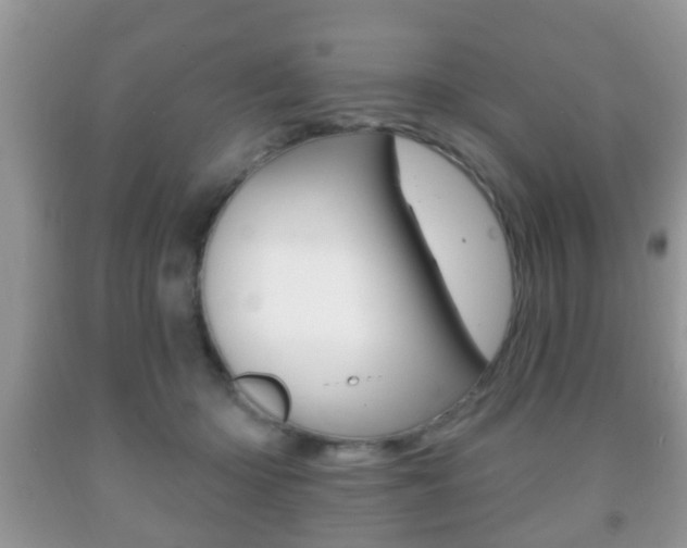 X0000091930414200709051245