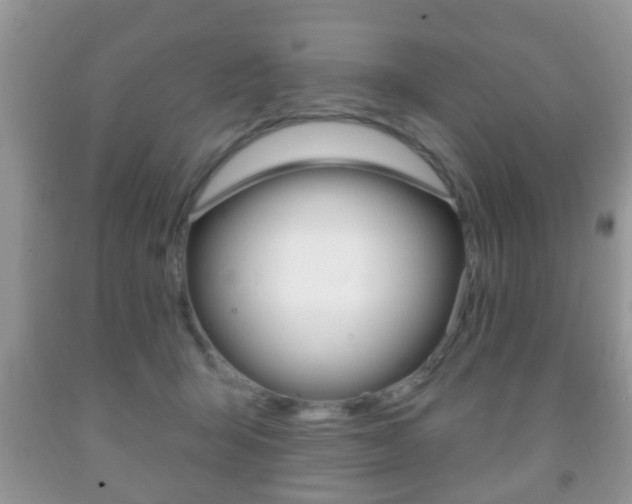 X0000091930415200709051245