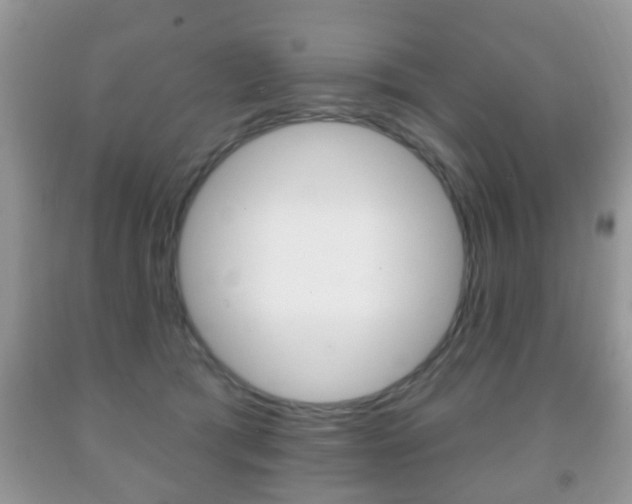X0000091930417200709051245