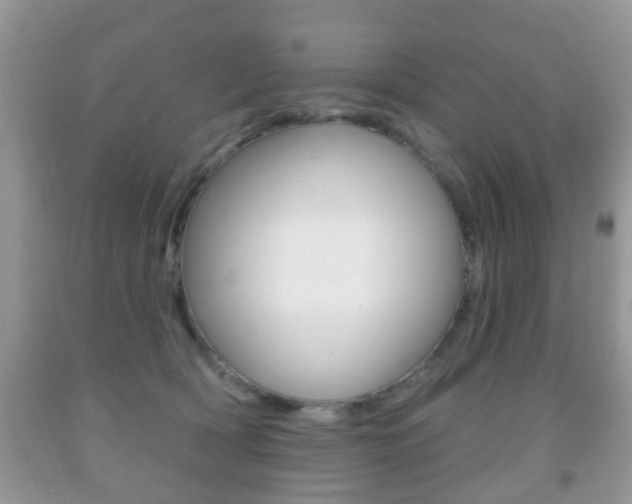 X0000091930418200709051245