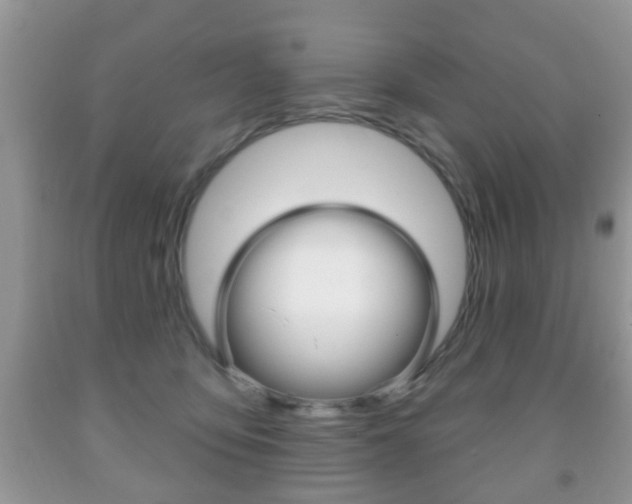 X0000091930419200709051245