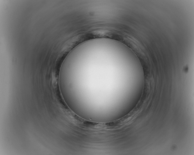 X0000091930420200709051245
