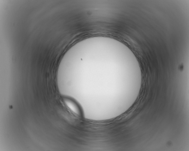 X0000091930421200709051245