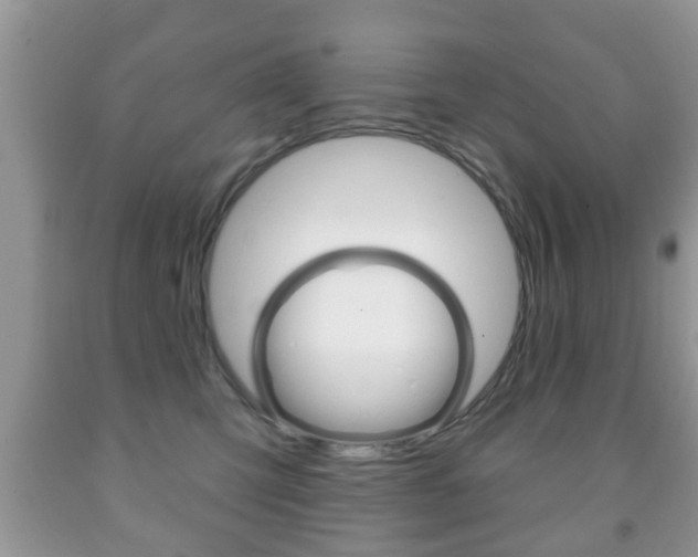 X0000091930423200709051245