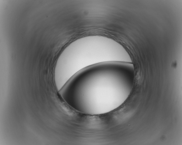 X0000091930424200709051245