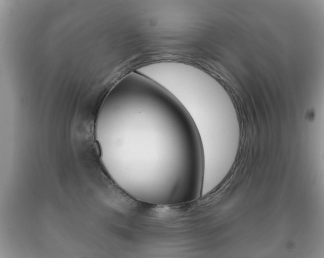X0000091930425200709051245