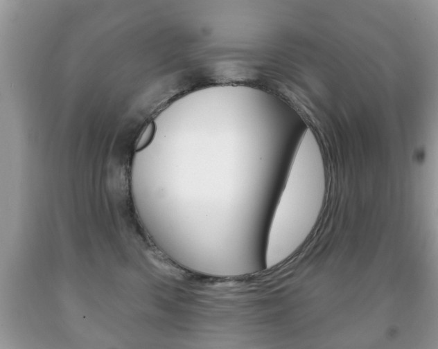 X0000091930426200709051245