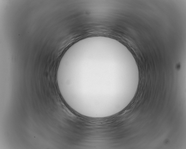X0000091930428200709051245