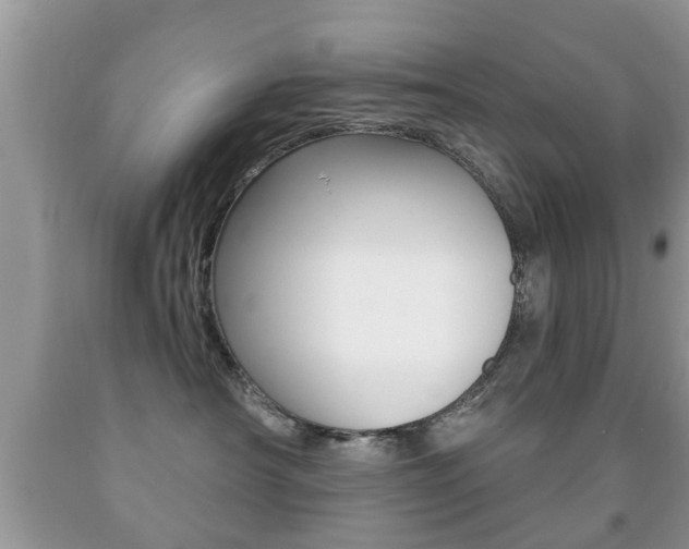 X0000091930430200709051245