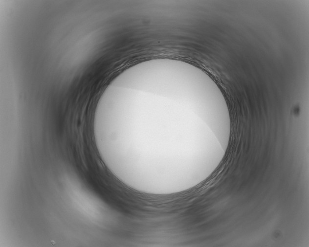 X0000091930431200709051245