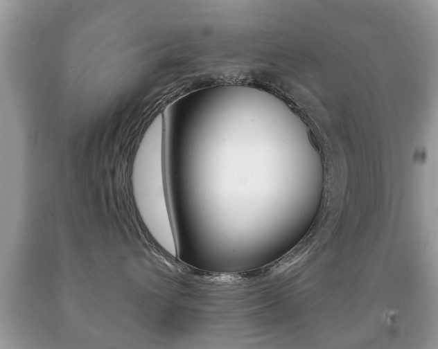 X0000091930432200709051245