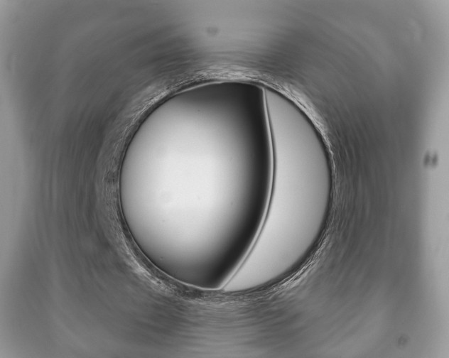 X0000091930433200709051244