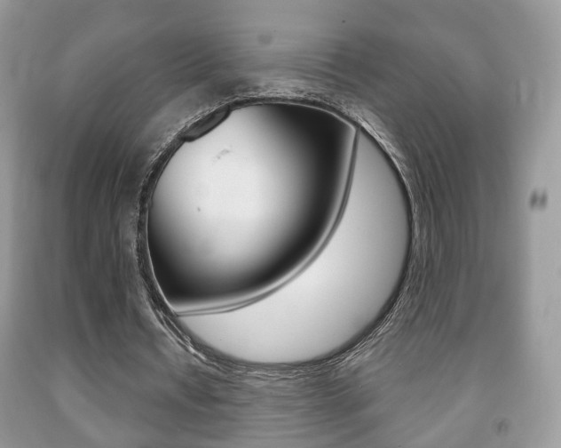 X0000091930434200709051244