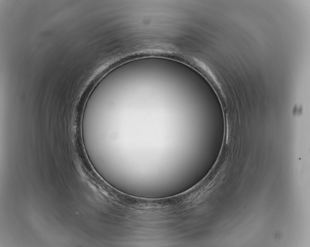 X0000091930435200709051244