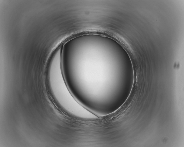 X0000091930436200709051244
