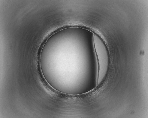 X0000091930439200709051244