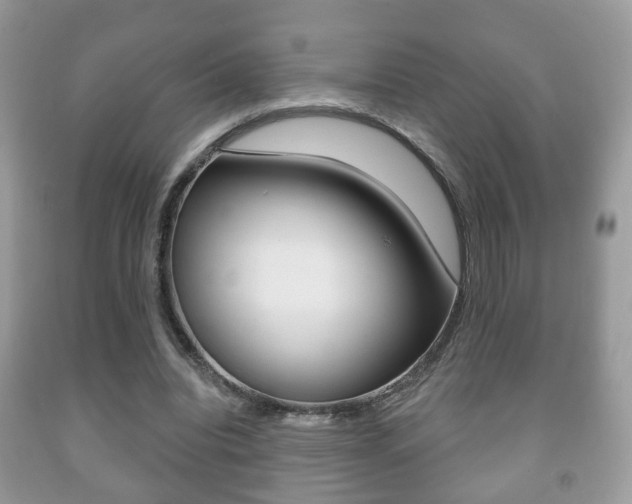 X0000091930440200709051244