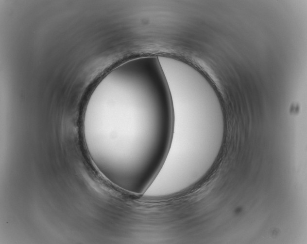 X0000091930443200709051244