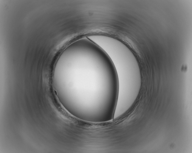 X0000091930444200709051244