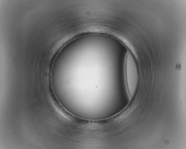 X0000091930445200709051244