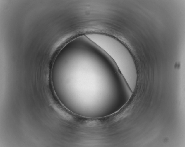 X0000091930446200709051244