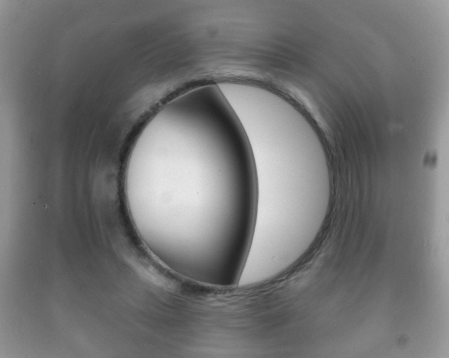 X0000091930447200709051244