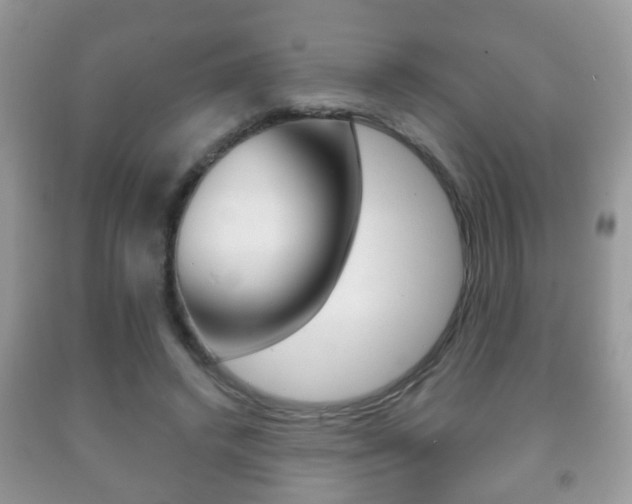 X0000091930448200709051244