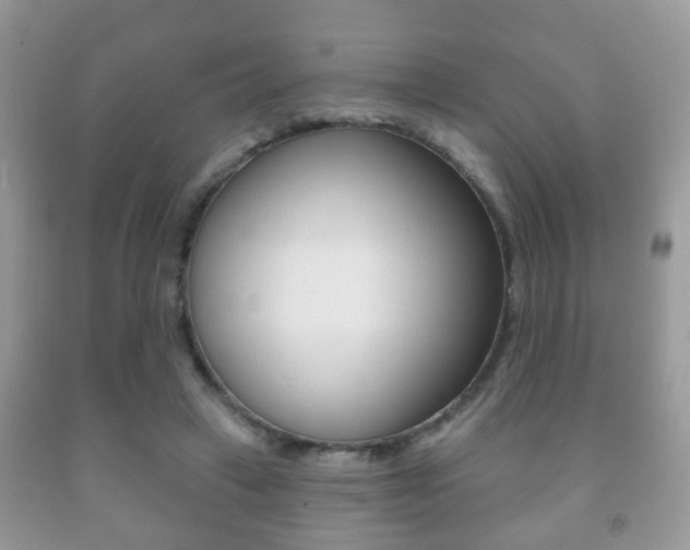 X0000091930449200709051244