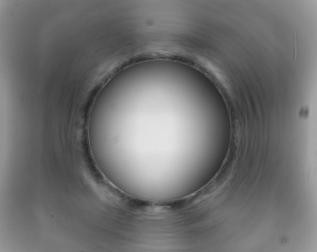 X0000091930451200709051244