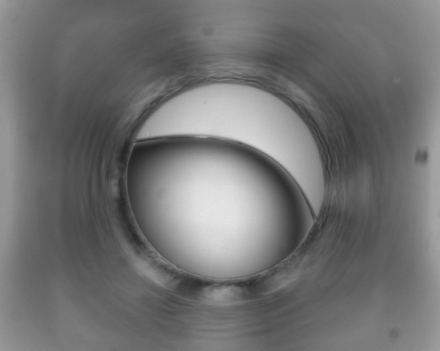 X0000091930452200709051244