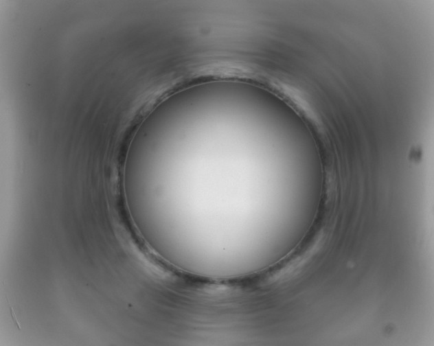 X0000091930453200709051244