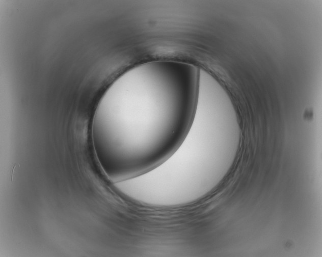 X0000091930454200709051244