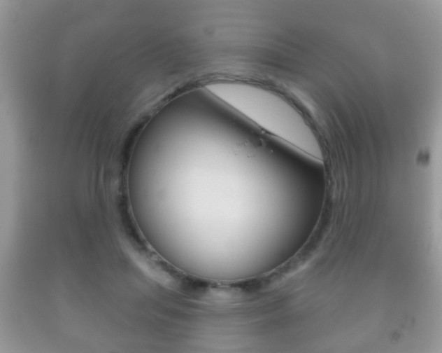 X0000091930455200709051244