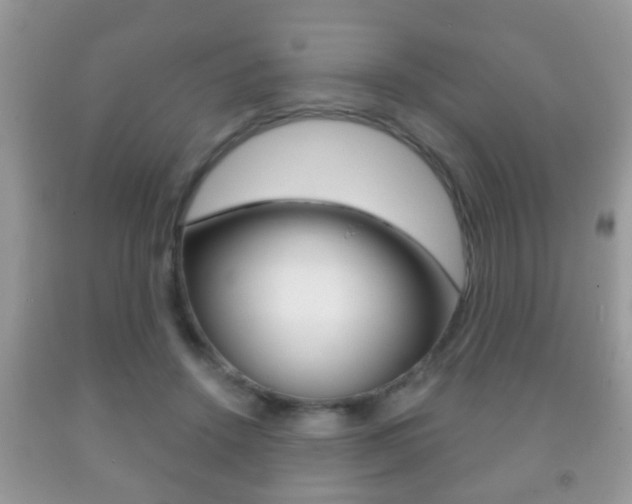 X0000091930456200709051244